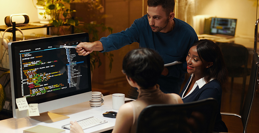 WordPress Custom Development