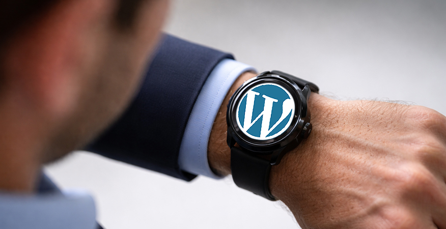 WordPress Development Company